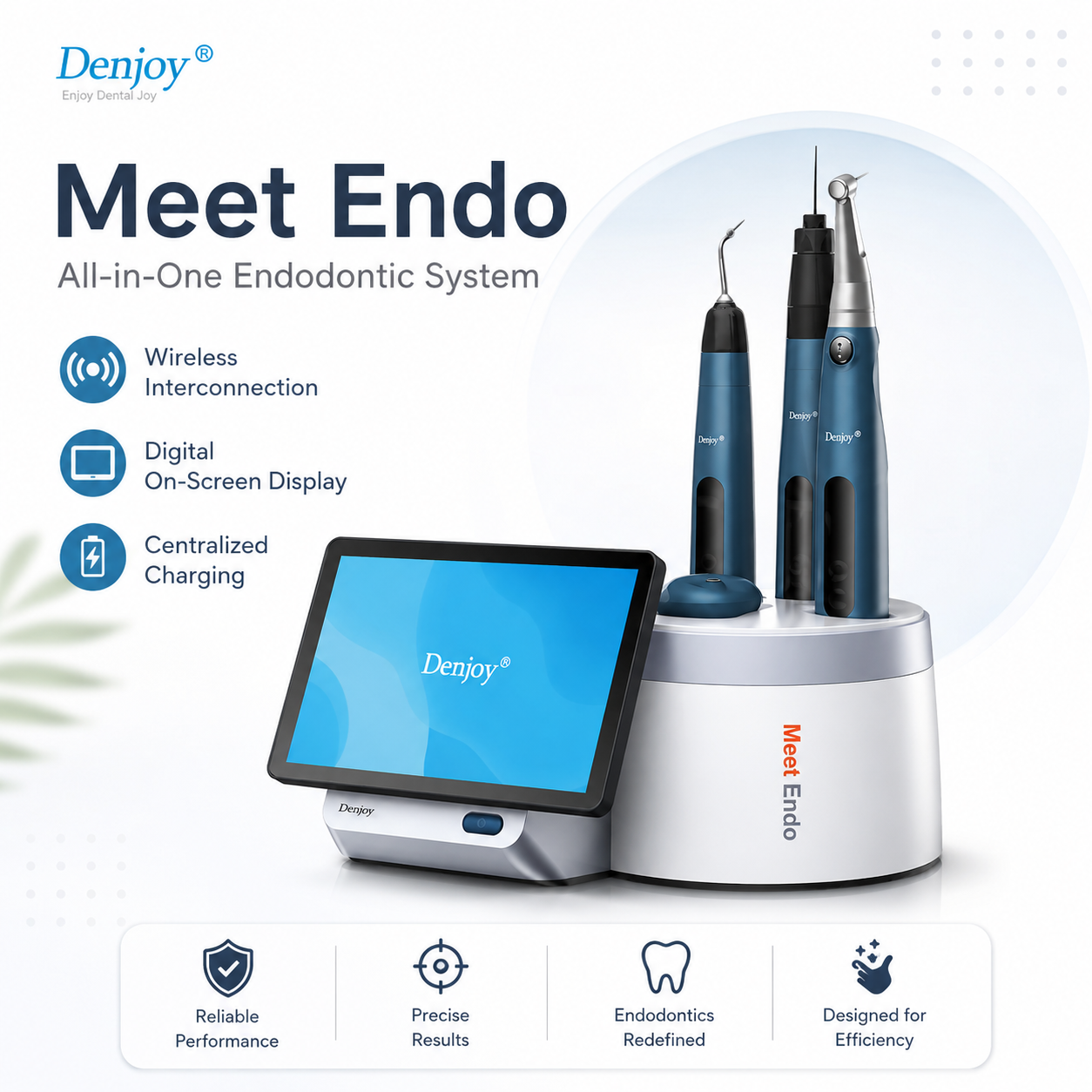 Denjoy EndoMeet