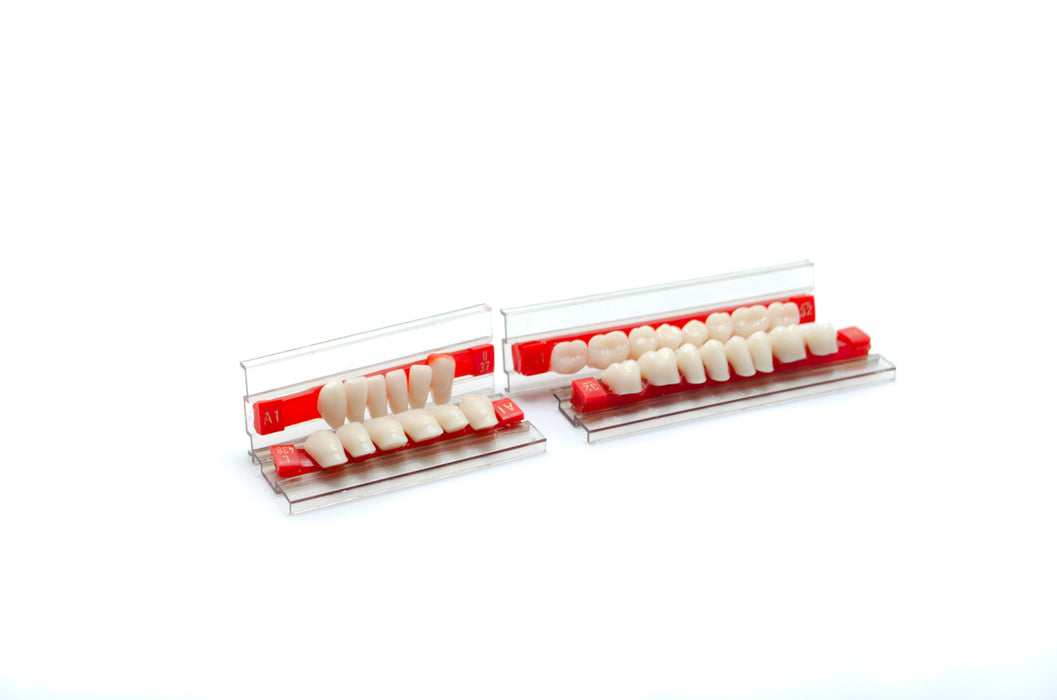 Acrylic Resin Teeth